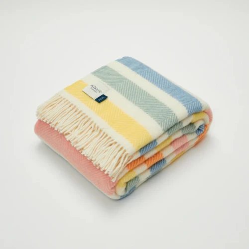 Colorful Striped Throw Blanket